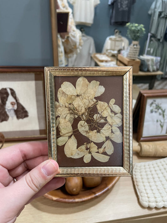 Small Gold Framed Dried Floral