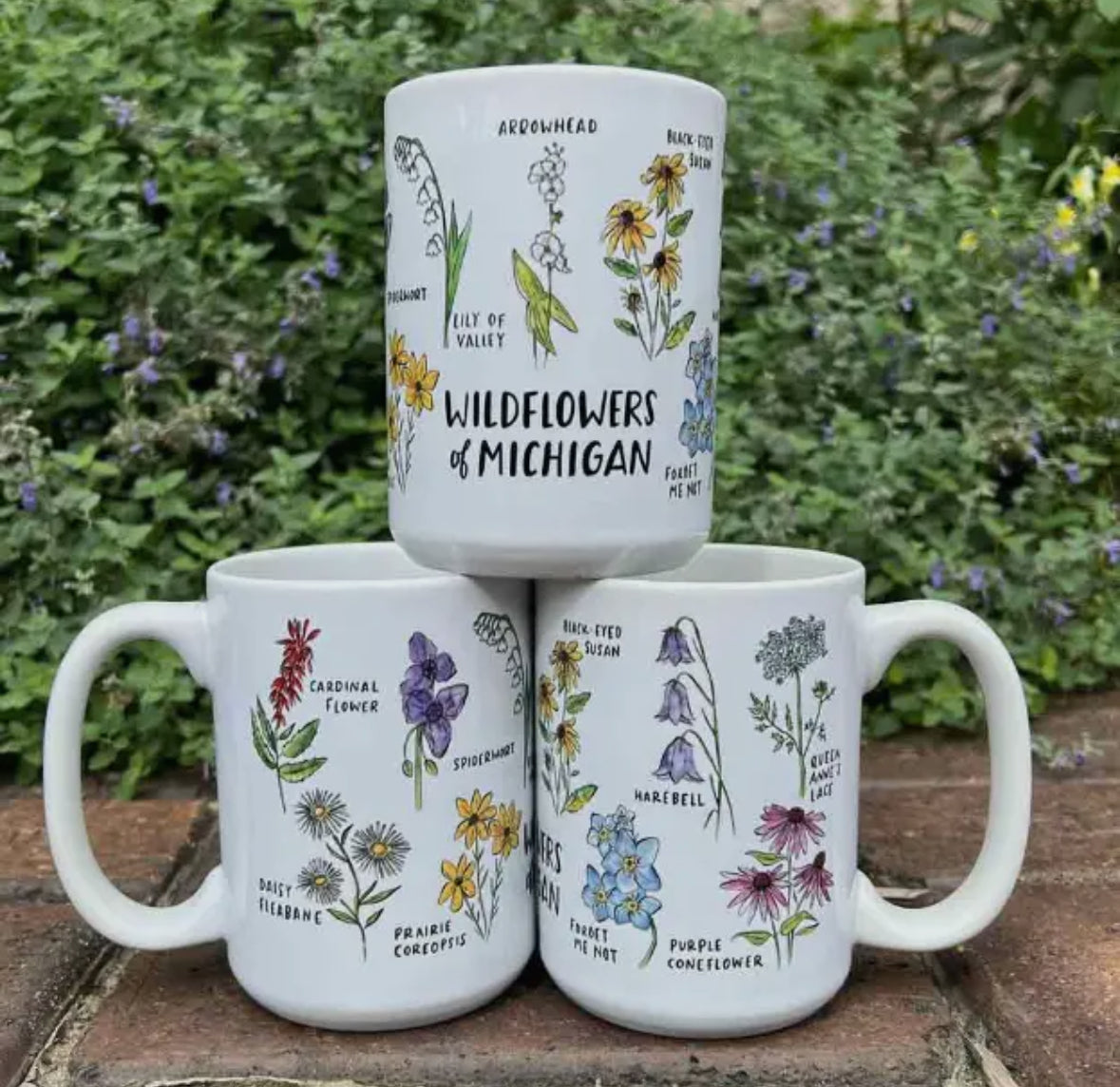 Wildflowers of Michigan Mug