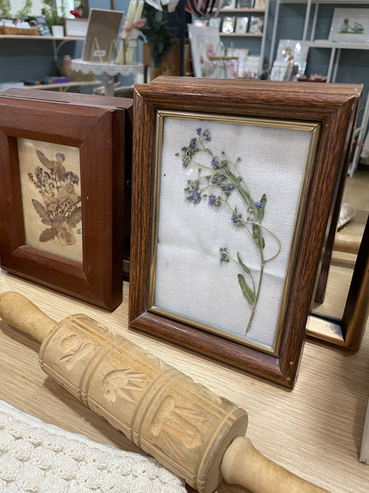 Small Framed Dried Floral I Good Kind Antiques
