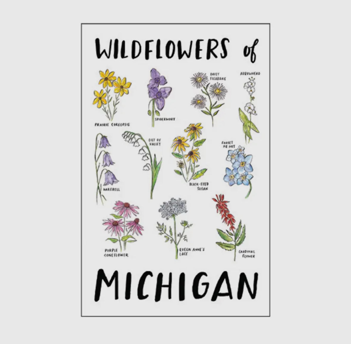 Michigan Wildflowers Linen Postcard