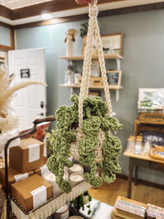 Hand-Crocheted Car Hanging Plants